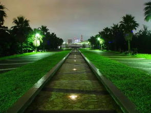 園林綠化施工技術(shù)大全