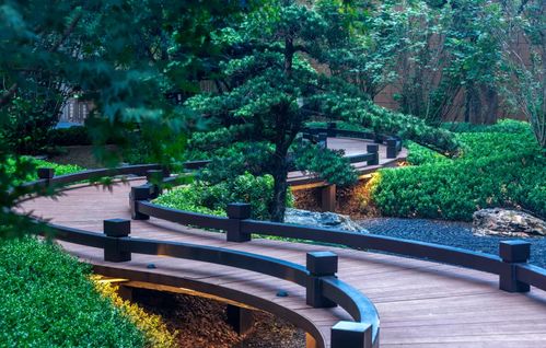 喜訊 國貿(mào).前海灣榮獲 省園林綠化優(yōu)質(zhì)工程