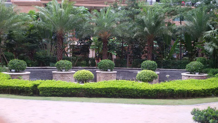 廣州地產(chǎn)綠化工程施工公司價(jià)格多少錢_佛嶺景觀