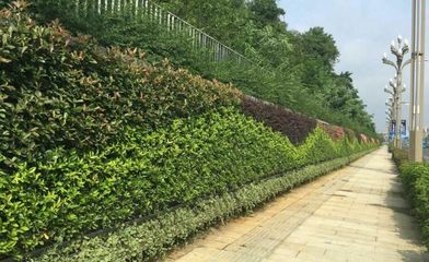 甘肅新時代園林工程 企業(yè)簡介