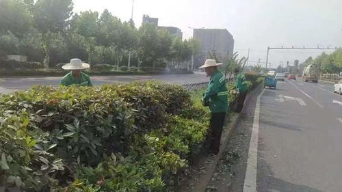 區(qū)園林綠化維護中心 天心區(qū)政府門戶網(wǎng)站