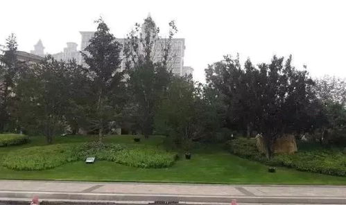 這些園林綠化工程施工技術(shù)規(guī)范,值得你花時(shí)間學(xué)習(xí)一下