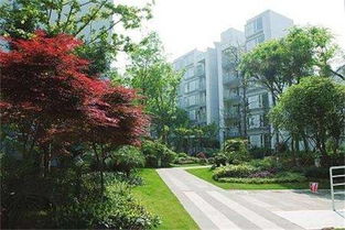 泰盛市政園林工程專業 專注 專心