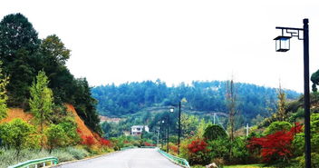 喜訊 | 人文園林榮獲2018年度杭州市優秀園林綠化工程評比三金佳績